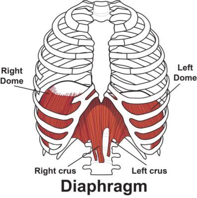 Breathing for Athletes - Breatheology